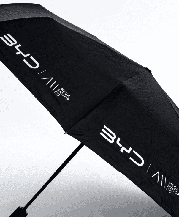 Hand Umbrella